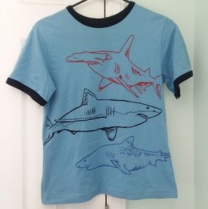 Sky blue shark T-shirt with dark blue trim